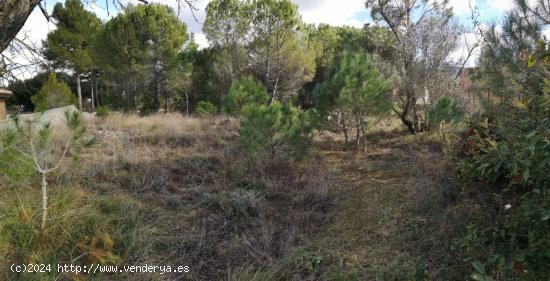 VENTA TERRENO EN LA POBLA DE CLARAMUNT ZONA EL XARÓ - BARCELONA