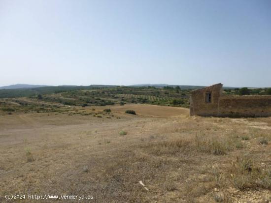 OCASION - TERRENO RUSTICO DE 11 HECTAREAS - ALBACETE