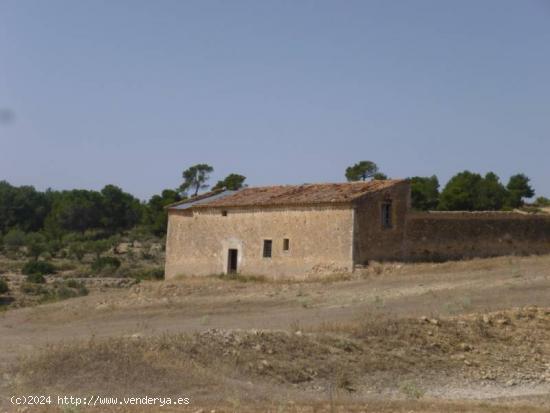 OCASION - TERRENO RUSTICO DE 11 HECTAREAS - ALBACETE