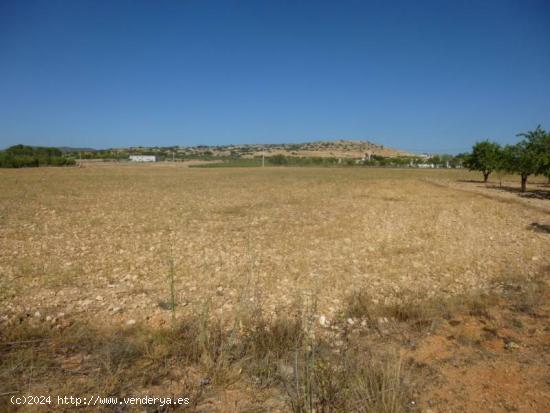 PARCELA EN PARAJE LA ESTACÁ - JUNTO CTRA. DE AYORA - ALBACETE