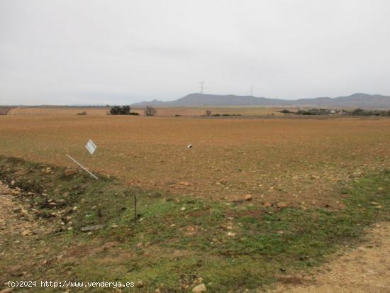 PARCELA DE 30.000 M2 CERCA DEL CASCO URBANO - ALBACETE