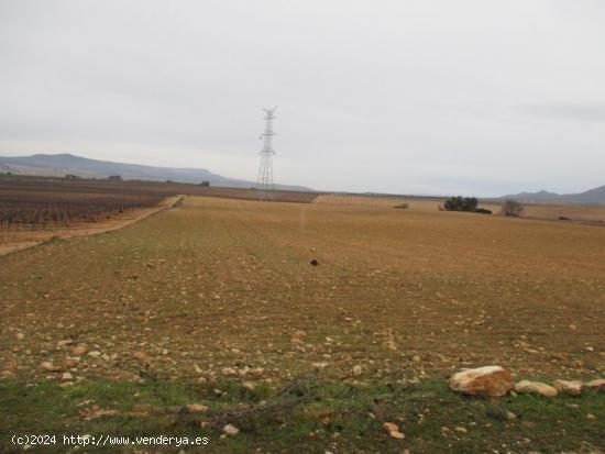 PARCELA DE 30.000 M2 CERCA DEL CASCO URBANO - ALBACETE