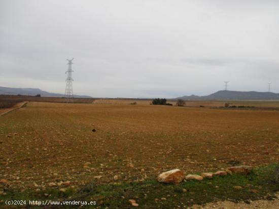 PARCELA DE 30.000 M2 CERCA DEL CASCO URBANO - ALBACETE