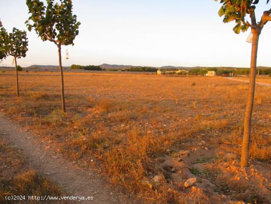 PARCELA MUY CERCA DEL CASCO URBANO - VALLADA Y POZO - ALBACETE