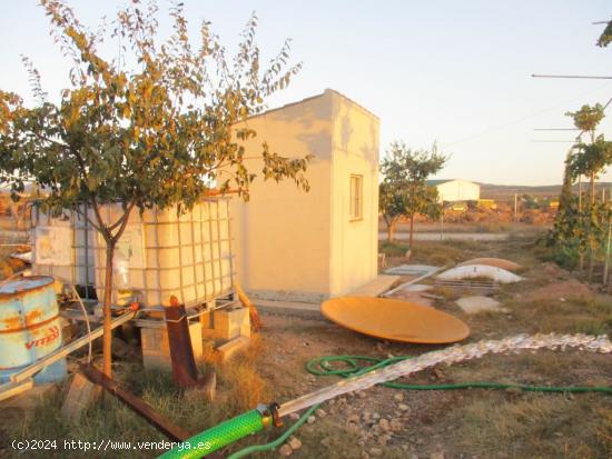 PARCELA MUY CERCA DEL CASCO URBANO - VALLADA Y POZO - ALBACETE