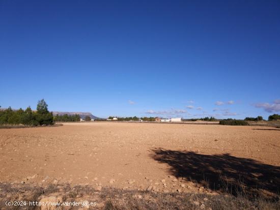 PARCELA EN EL  PARAJE DE SUGEL  - ALBACETE