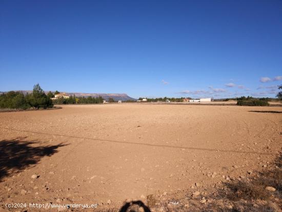 PARCELA EN EL  PARAJE DE SUGEL  - ALBACETE