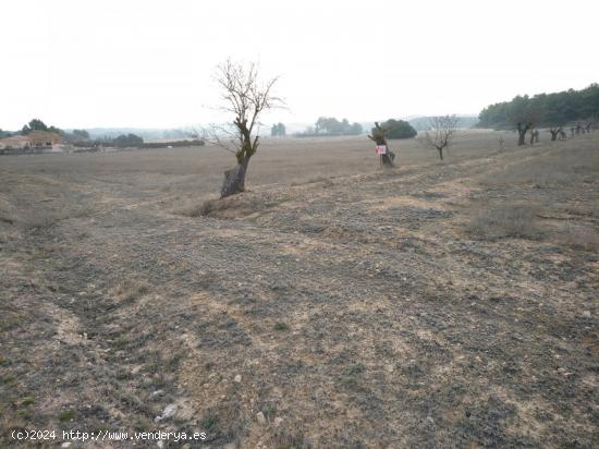 EXCELENTE PARCELA EN PARAJE DE LOS ESPETONES - ALBACETE