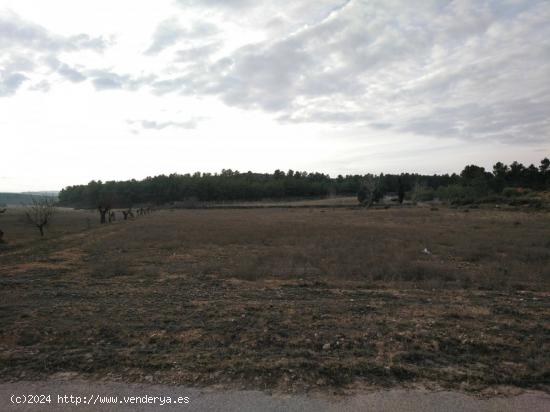 EXCELENTE PARCELA EN PARAJE DE LOS ESPETONES - ALBACETE