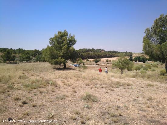 PARCELA CERCA DEL CASTO URBANO - ALBACETE