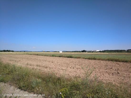  PARCELA DE 22.400 M2 EN PARAJE  EL RUBIAL  - ALBACETE 