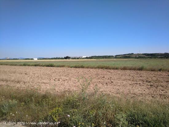 PARCELA DE 22.400 M2 EN PARAJE  EL RUBIAL  - ALBACETE