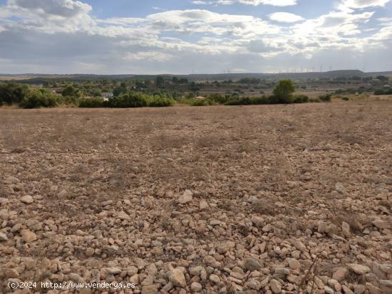 PARCELA DE 15.000 M2 EN PARAJE DE LOS ESPETONES. EXCELENTE UBICACION Y ACCESO - ALBACETE