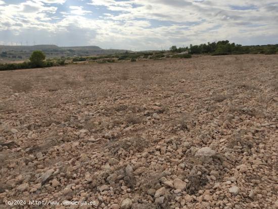 PARCELA DE 15.000 M2 EN PARAJE DE LOS ESPETONES. EXCELENTE UBICACION Y ACCESO - ALBACETE