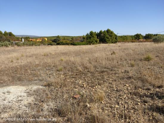  EXCELENTE PARCELA EN PARAJE LOS ESPETONES - DISPONE DE POZO - ALBACETE 