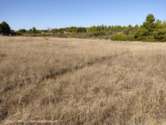 EXCELENTE PARCELA EN PARAJE LOS ESPETONES - DISPONE DE POZO - ALBACETE