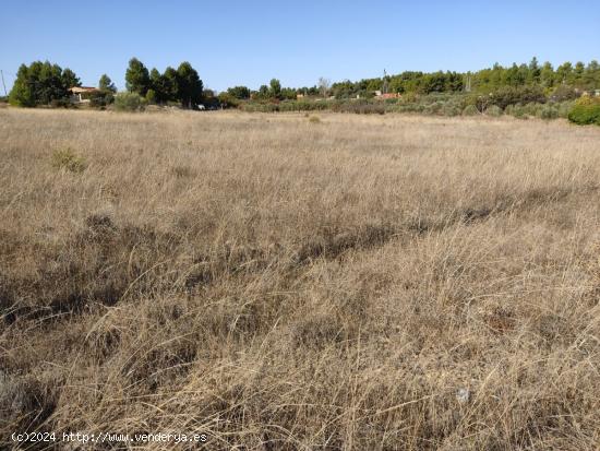 EXCELENTE PARCELA EN PARAJE LOS ESPETONES - DISPONE DE POZO - ALBACETE