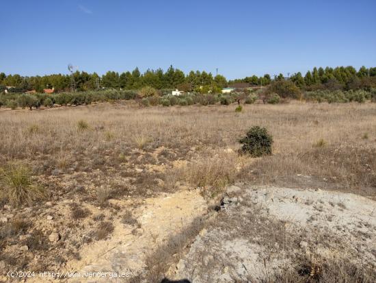 EXCELENTE PARCELA EN PARAJE LOS ESPETONES - DISPONE DE POZO - ALBACETE