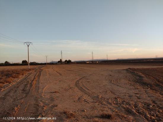  PARCELA RUSTICA DE 25.000 M2. - ALBACETE 