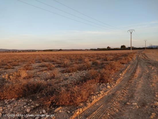 PARCELA RUSTICA DE 25.000 M2. - ALBACETE