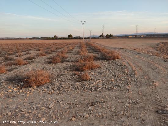 PARCELA RUSTICA DE 25.000 M2. - ALBACETE