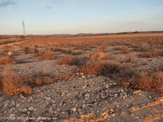 PARCELA RUSTICA DE 25.000 M2. - ALBACETE