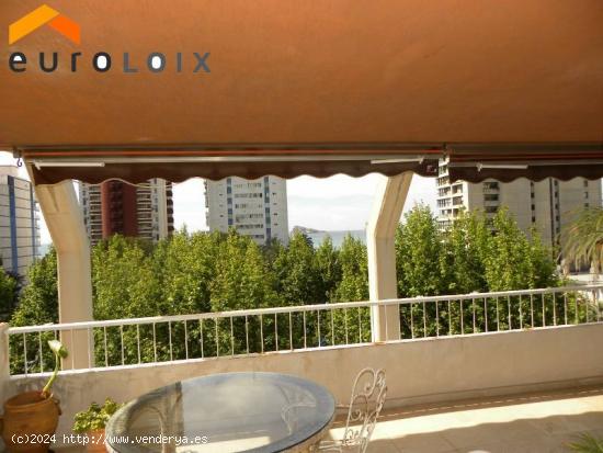  Fantástico ático dúplex en  Benidorm  www.euroloix.com - ALICANTE 