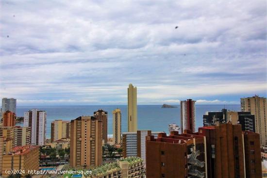  Apartamento en Benidorm playa Levante www.euroloix.com - ALICANTE 