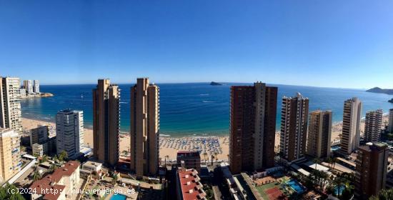 Apartamento en playa de Levante  Benidorm www.euroloix.com - ALICANTE