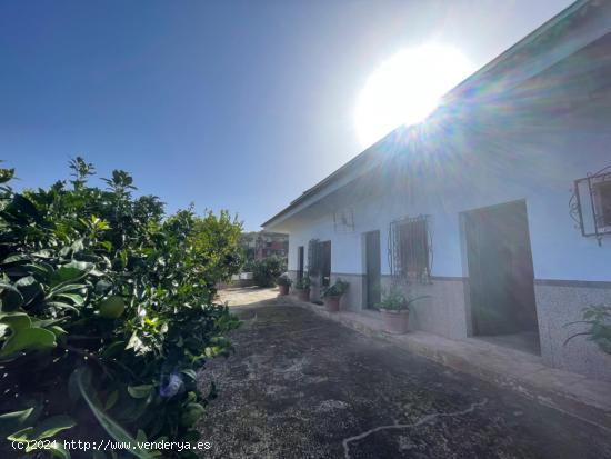 CASA EN PALO BLANCO, LOS REALEJOS - SANTA CRUZ DE TENERIFE