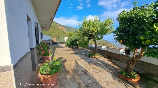 CASA EN PALO BLANCO, LOS REALEJOS - SANTA CRUZ DE TENERIFE