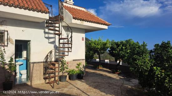 CASA EN PALO BLANCO, LOS REALEJOS - SANTA CRUZ DE TENERIFE