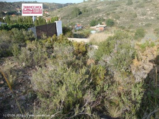 PARCELA EN VENTA EN ALFARP  Paridera de San Pedro  - VALENCIA