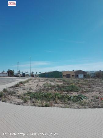 PARCELAS EN VENTA EN POLIGONO INDUSTRIAL  ELS OLIVARONS  EN SOLLANA. - VALENCIA