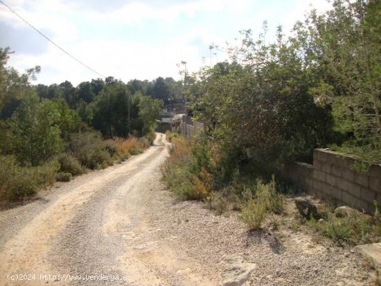 VENTA DE PARCELA EN CATADAU - VALENCIA