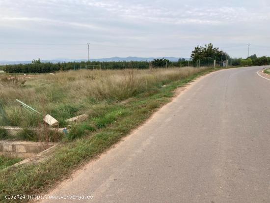 VENTA DE FINCA RUSTICA EN BENIFAIO - VALENCIA