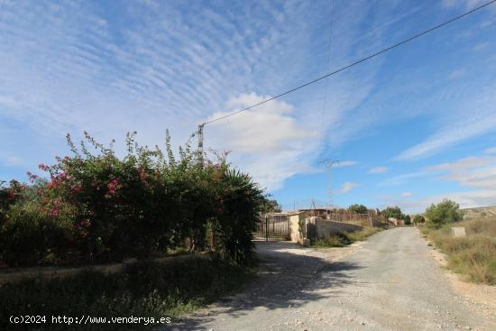  OPORTUNIDAD TERRENO RUSTICO EN PTDA VALLONGAS - ALICANTE 