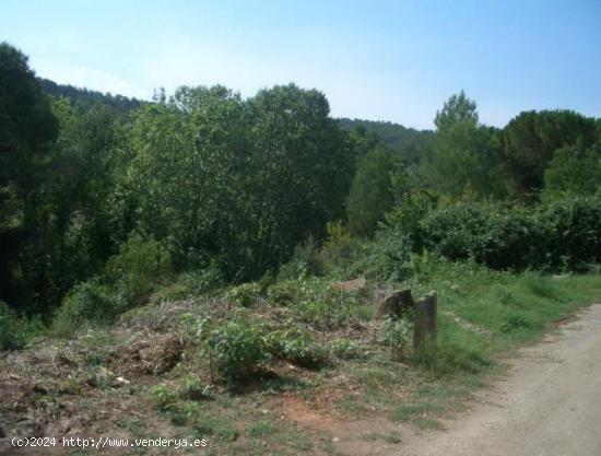 TERRENY EN URBANITZACIÓ CANALETES DE CABRERA D'ANOIA - BARCELONA