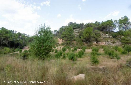  TERRENY RÚSTIC EN VENDA SITUAT A LA POBLA DE CLARAMUNT - LES GARRIGUES - BARCELONA 