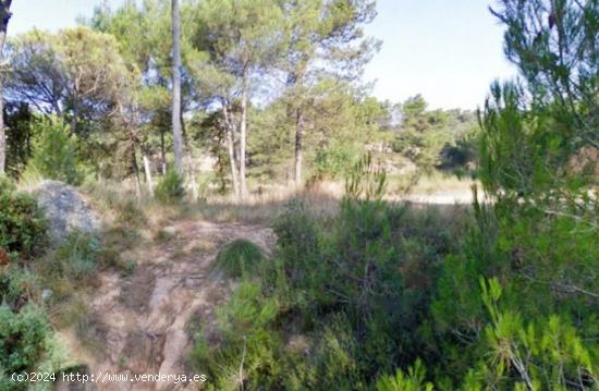 TERRENY RÚSTIC EN VENDA SITUAT A LA POBLA DE CLARAMUNT - LES GARRIGUES - BARCELONA