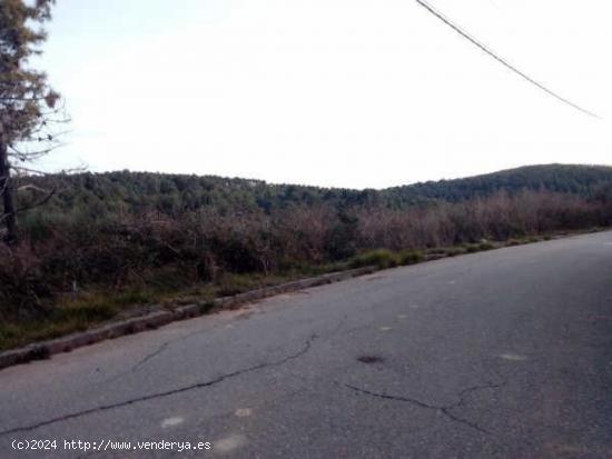  SOLAR EN VENDA A MEDIONA - LA FONT DEL BOSC - BARCELONA 