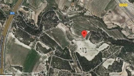 FINCA RUSTICA EN VENTA EN CASTALLA ALICANTE - ALICANTE