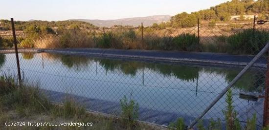 FINCA RUSTICA EN VENTA EN CASTALLA ALICANTE - ALICANTE