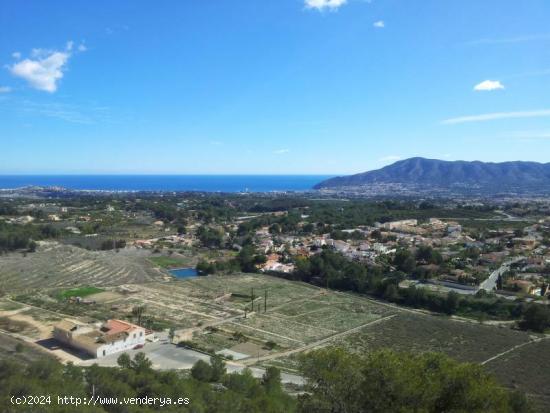  TERRENO RÚSTICO DE 35 HA PARA RESIDENCIA Ó CAMPO DE GOLF - ALICANTE 