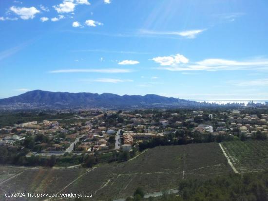 TERRENO RÚSTICO DE 35 HA PARA RESIDENCIA Ó CAMPO DE GOLF - ALICANTE