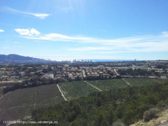 TERRENO RÚSTICO DE 35 HA PARA RESIDENCIA Ó CAMPO DE GOLF - ALICANTE