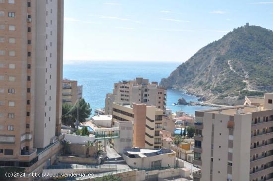  Bonita vivienda de 3 dorm. 2 baños para entrar a vivir, vistas despejadas. - ALICANTE 