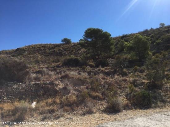 Se vende terreno rustico con vistas en Orxeta - ALICANTE