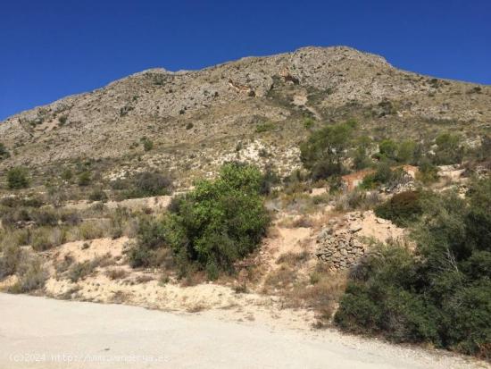 Se vende terreno rustico con vistas en Orxeta - ALICANTE