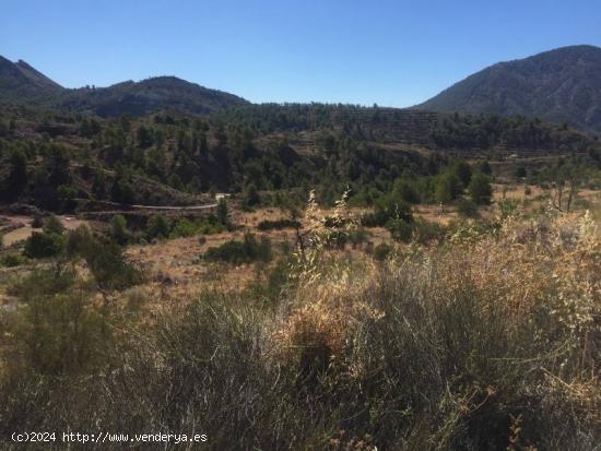  Se vende terreno rustico en Orxeta - ALICANTE 